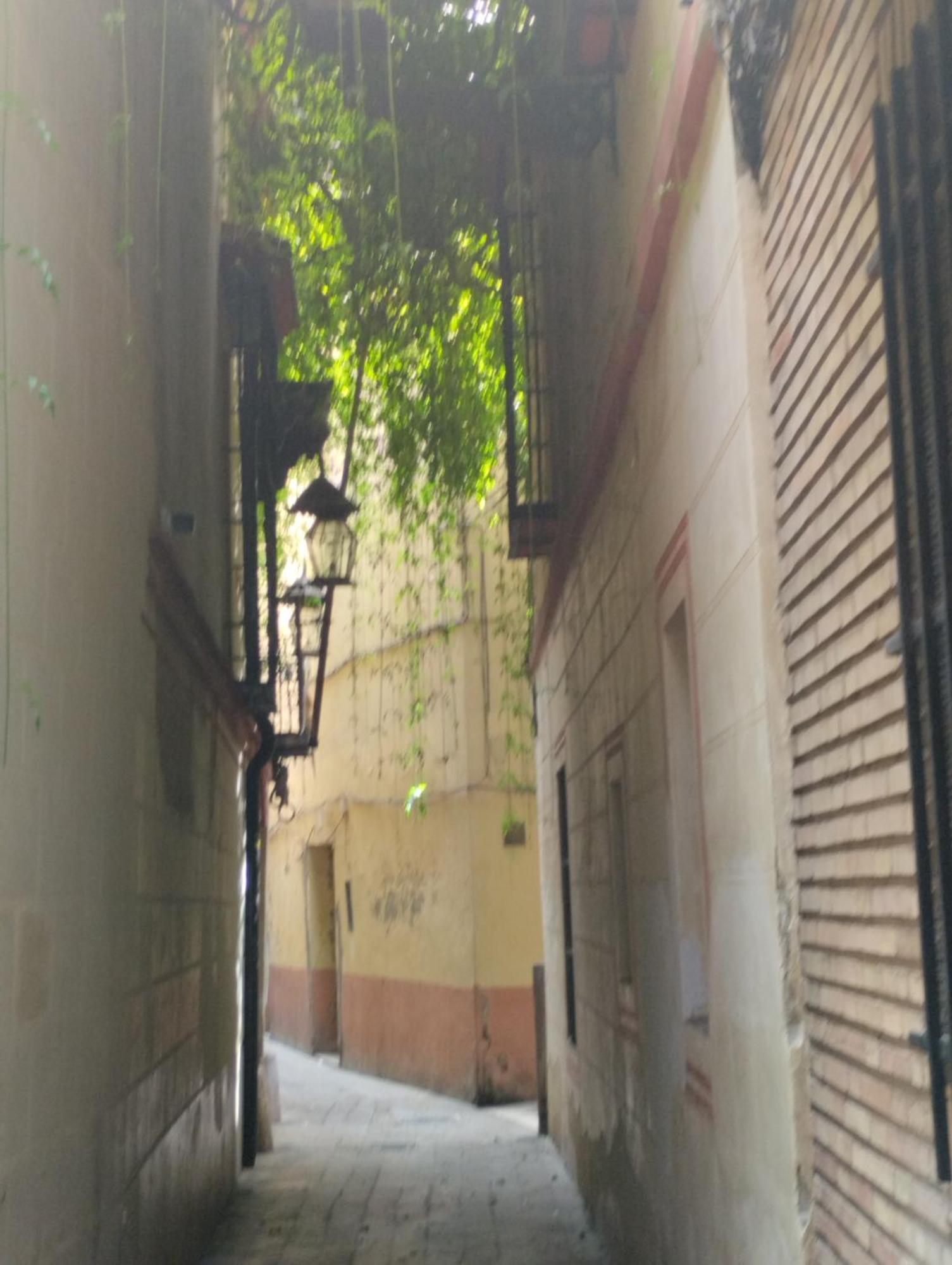 塞维利亚La Casa De Pepa公寓 外观 照片