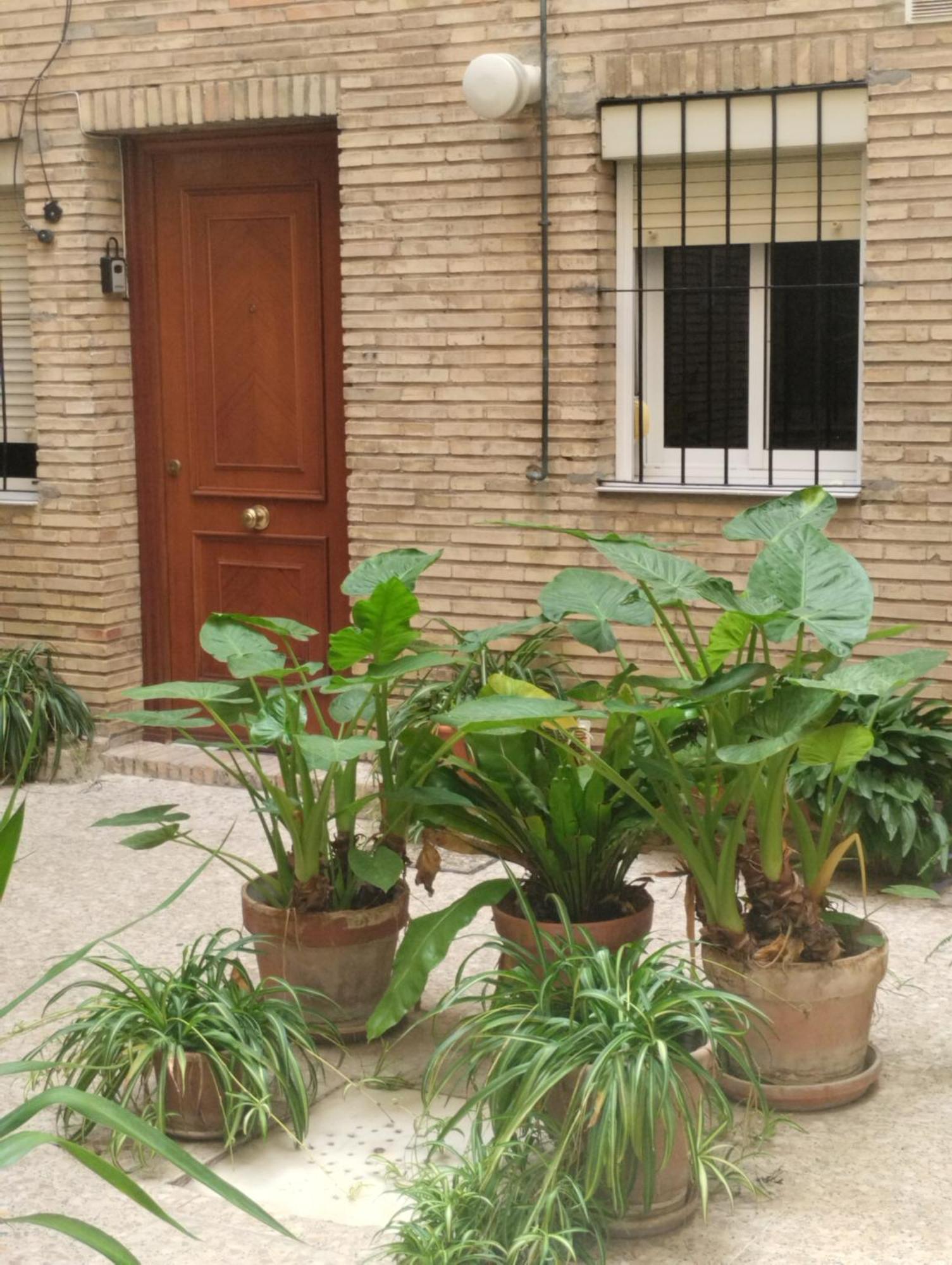 塞维利亚La Casa De Pepa公寓 外观 照片
