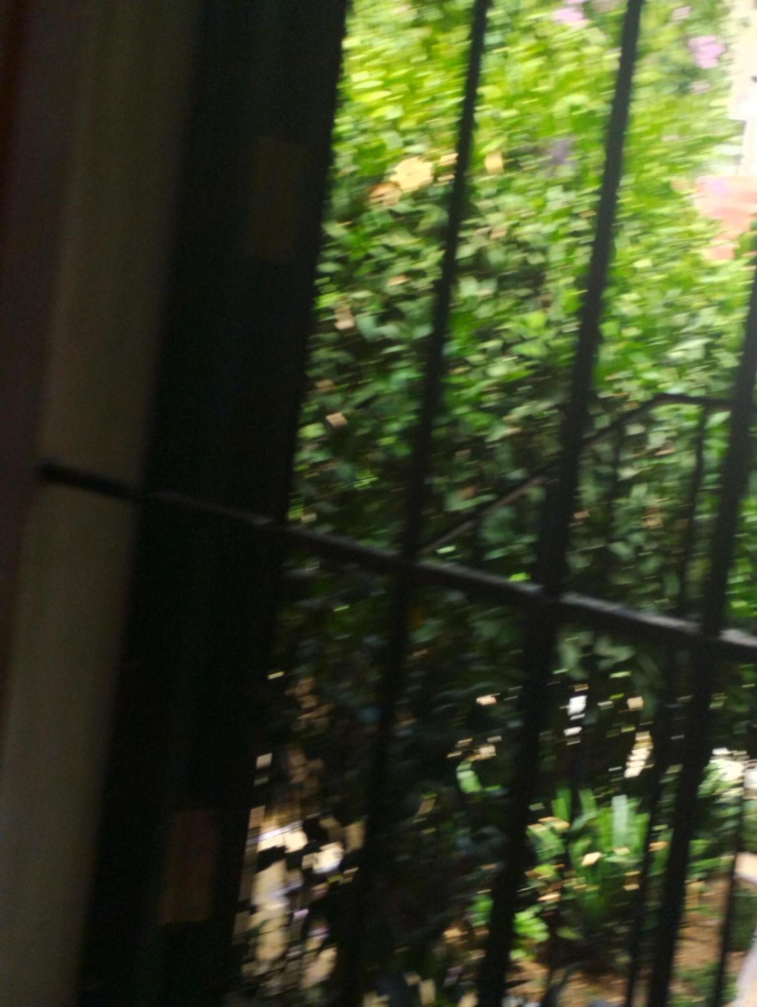 塞维利亚La Casa De Pepa公寓 外观 照片